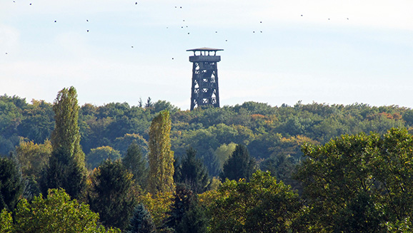 Sofortiger Wiederaufbau des Goetheturms!
